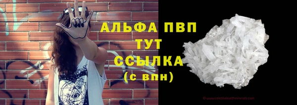 спайс Баксан