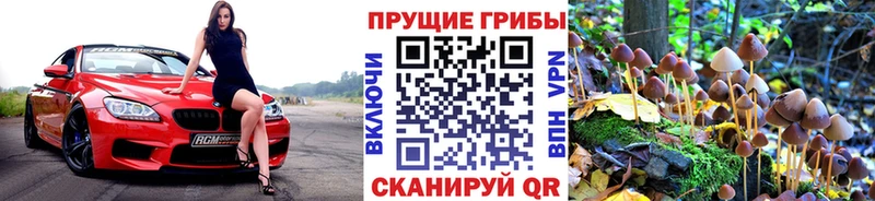 Псилоцибиновые грибы Magic Shrooms  купить наркоту  MEGA ТОР  Кстово 