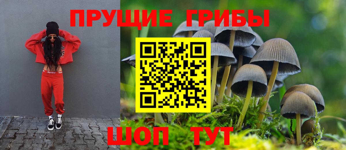 Псилоцибиновые грибы мухоморы Кстово
