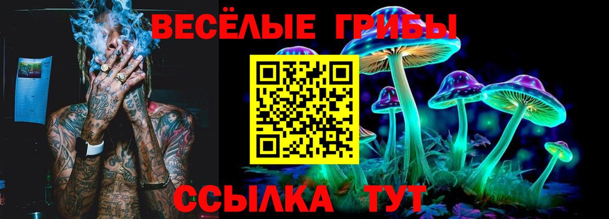 Псилоцибиновые грибы MAGIC MUSHROOMS  Псилоцибиновые грибы Cubensis  Вход с VPN  Кстово 